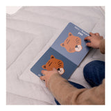 Trixie -bok med motsägelser