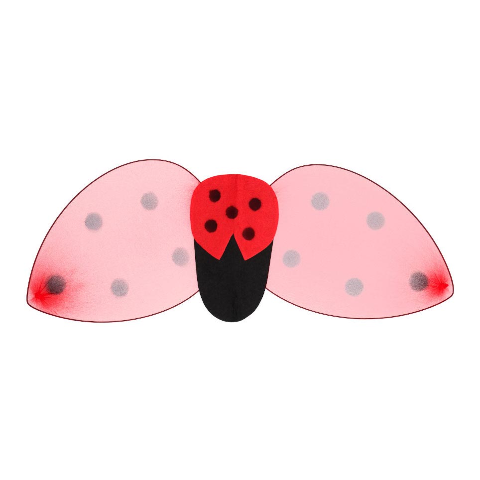 Boland ladybug dress-up set