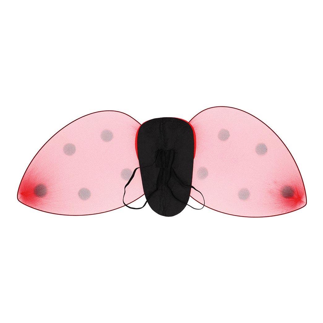 Boland ladybug dress-up set