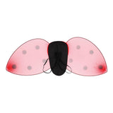 Boland ladybug dress-up set