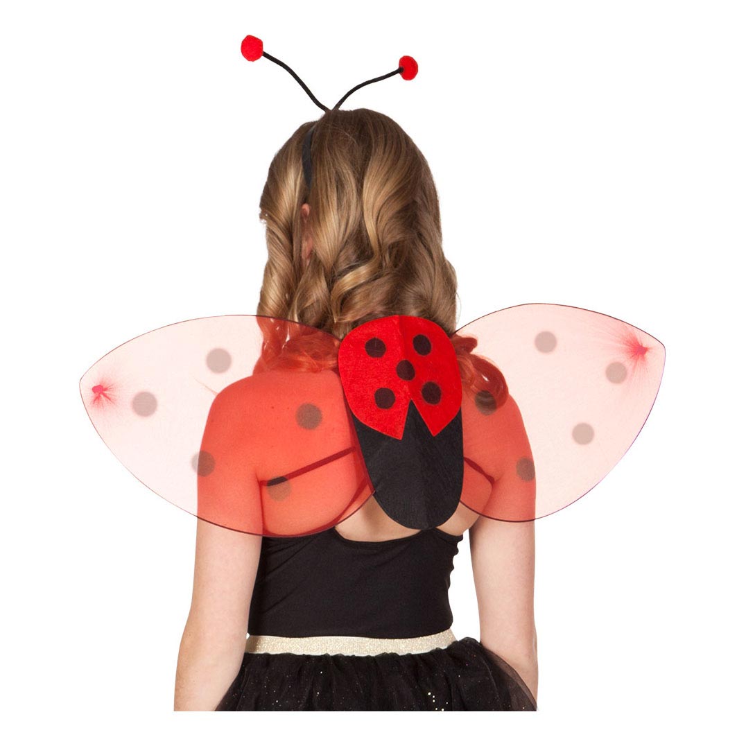Boland Kleed Set Ladybug