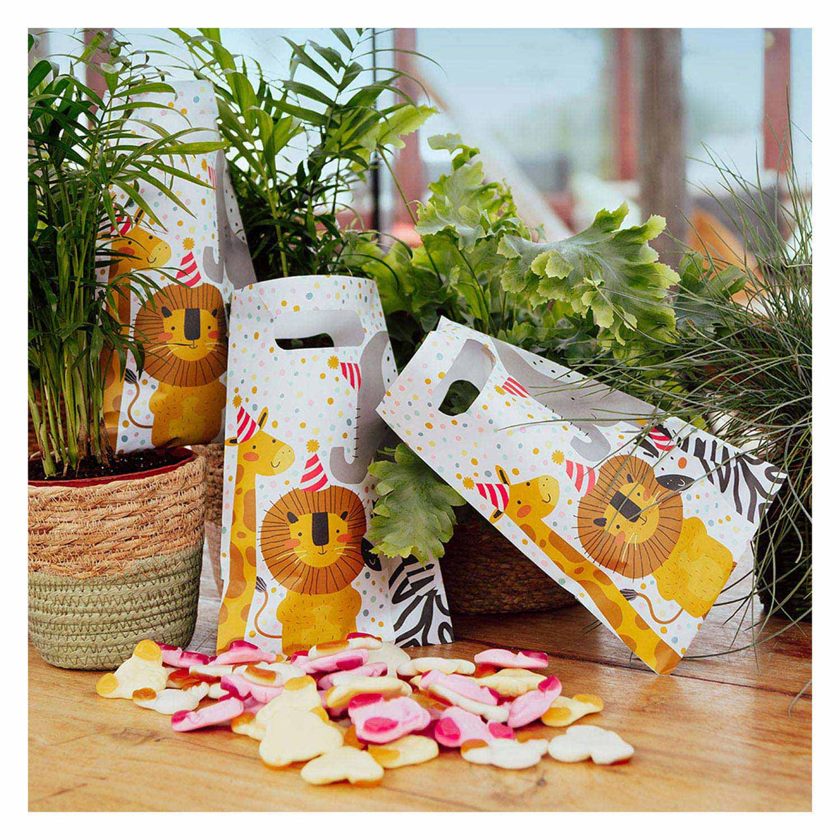 Boland Paper Party Bags Safari, 10 ..