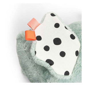 Descriptive image text