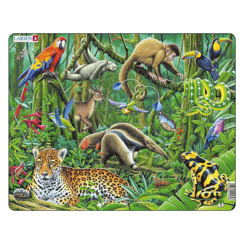 Selecta Larsen Line Puzzle Animals - South American Rainforest, 70 ..