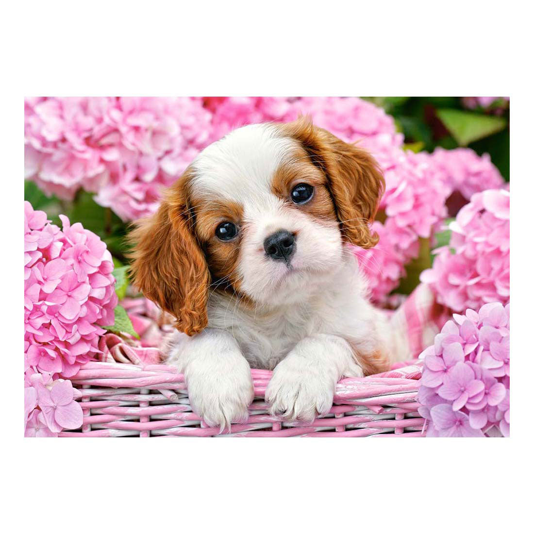 Selecta castorland legpuzzel pup in pink flowers, 500st.
