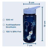 Disney Aero Frozen Drinks Bottle - 500ml
