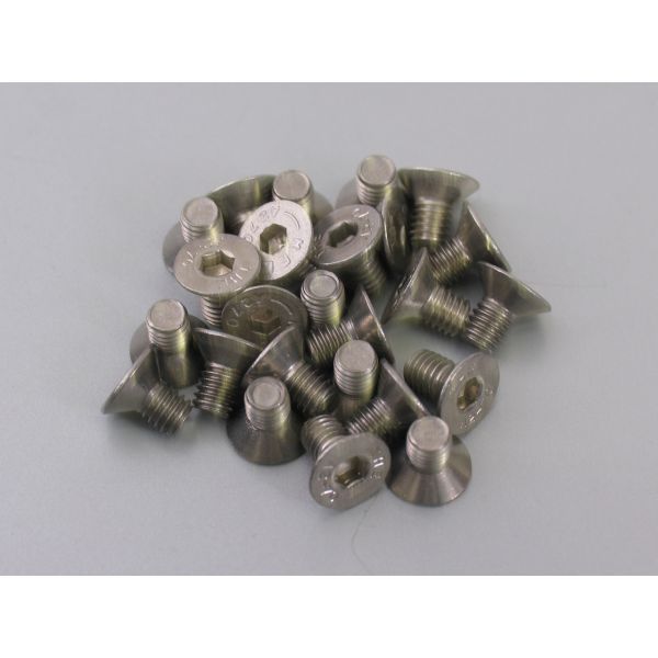 Bofix Hexagon Socket Csavar M6X10 rozsdamentes acél a Countersunk fejjel (25 darab)