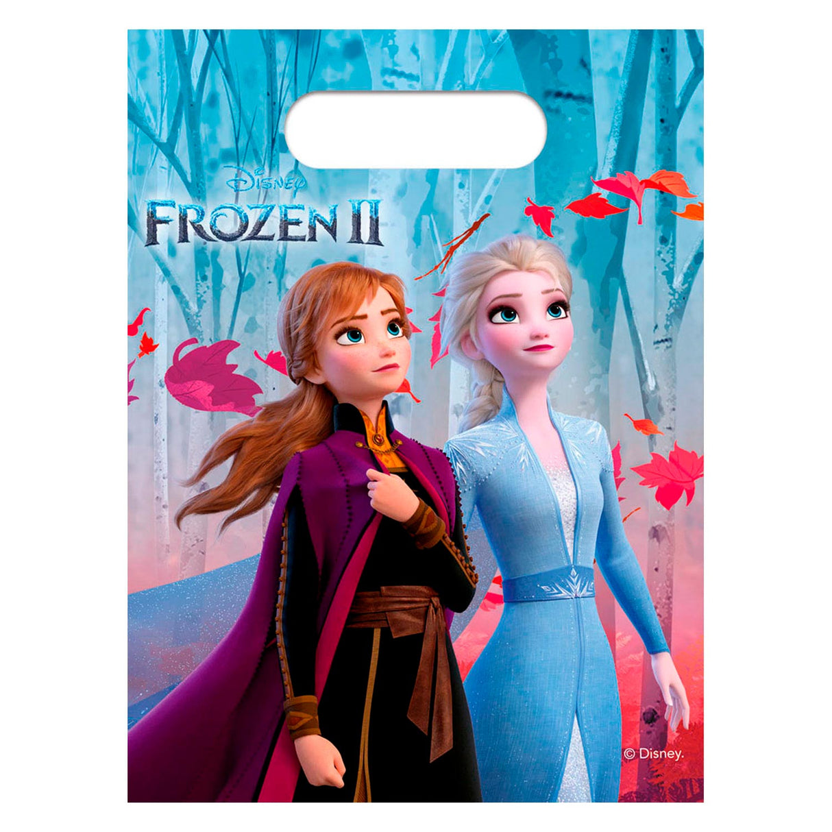Disney Frozen 2 Division bags, 6st.