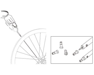 Descriptive image text