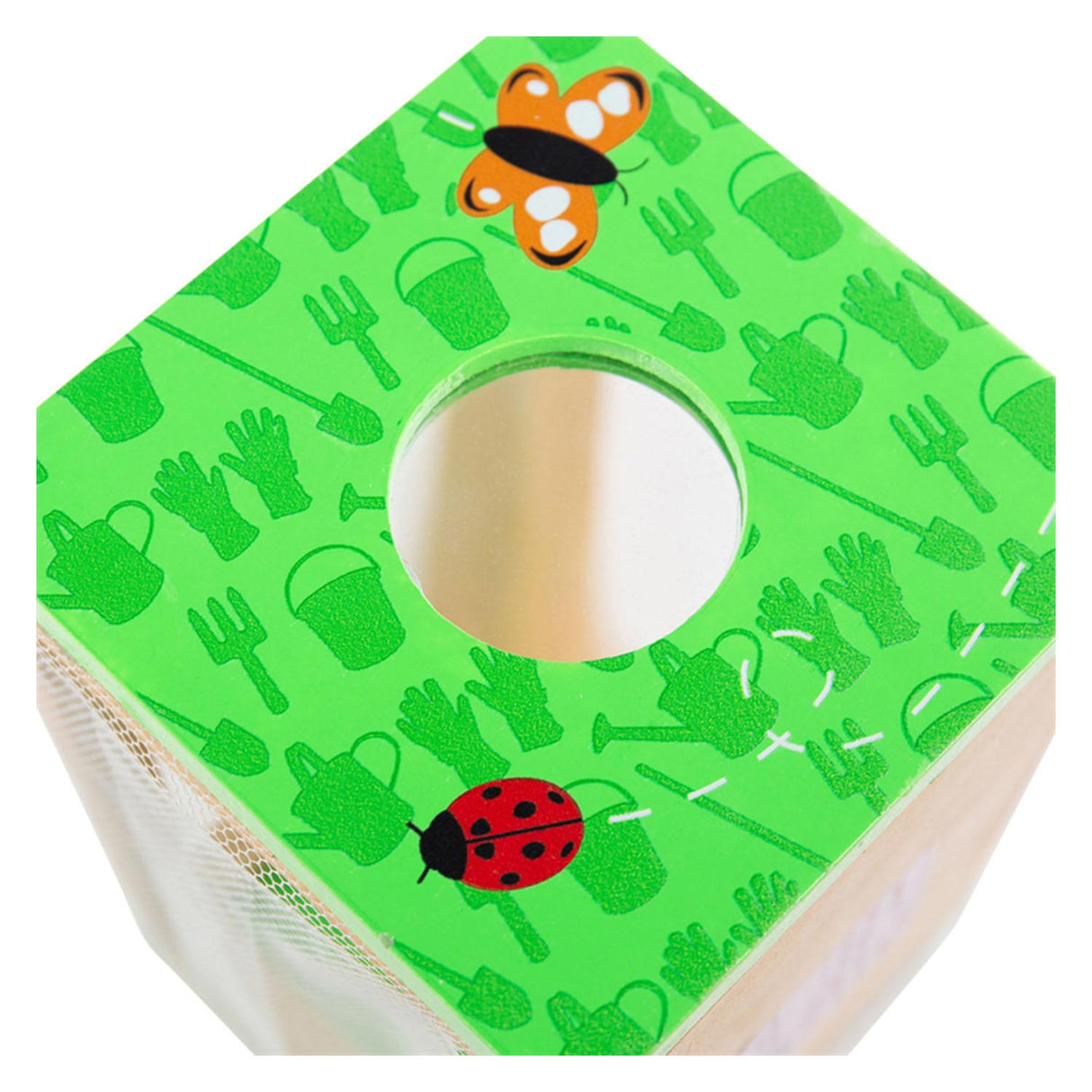 Bigjigs Wooden Insects Viewing box