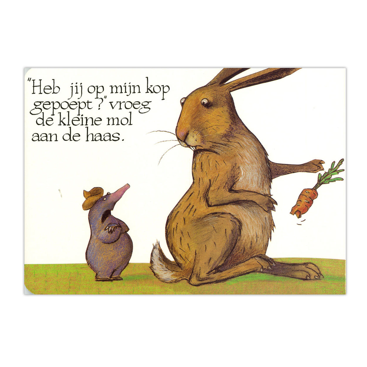 Centraal boekhuis over een kleine mol... kartonboek