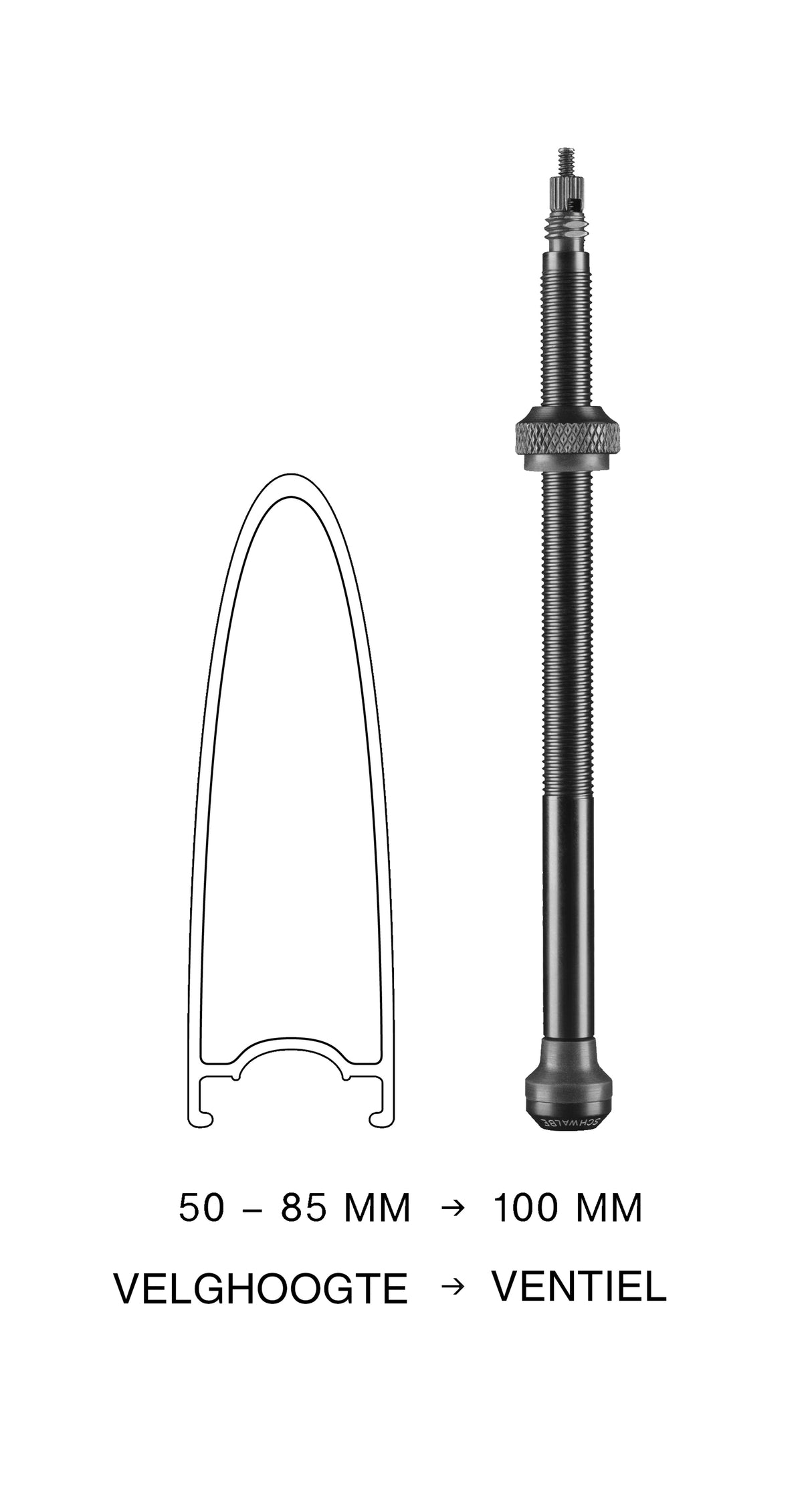 Válvula sem câmara de câmara Schwalbe 100mm (2 peças)