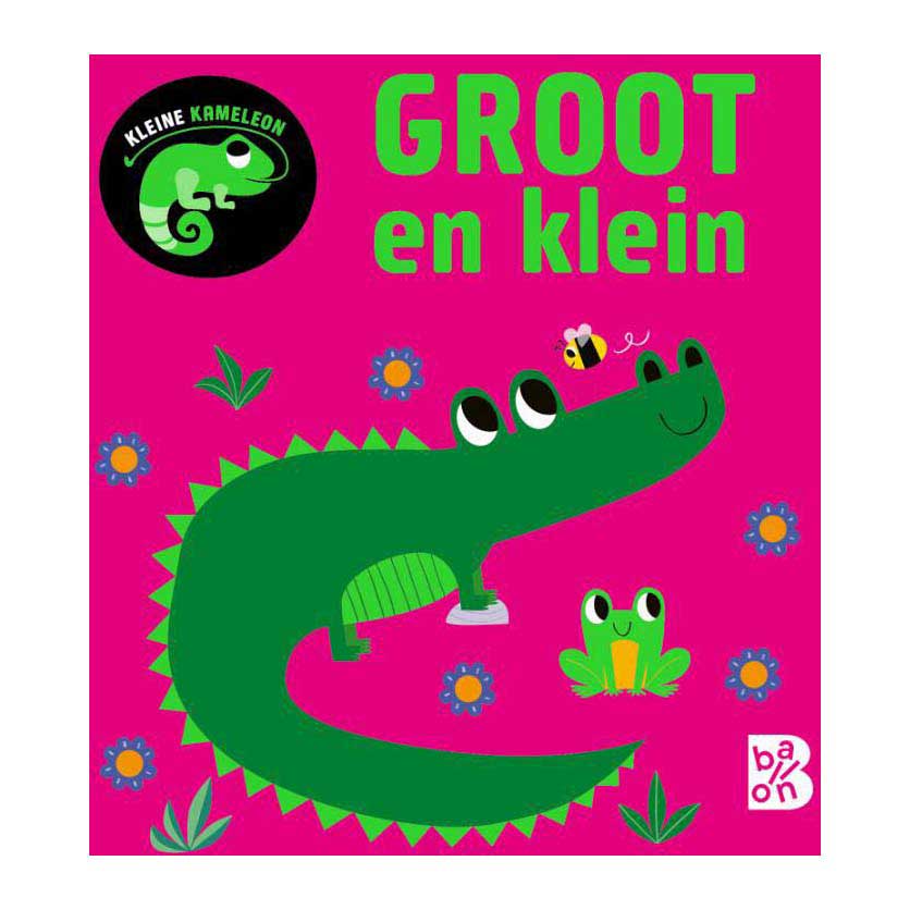 Standaard uitgeverij kleine kameleon - groot en klein 12m+