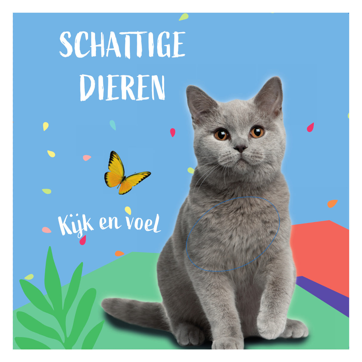 Sentimento del gattino del libretto