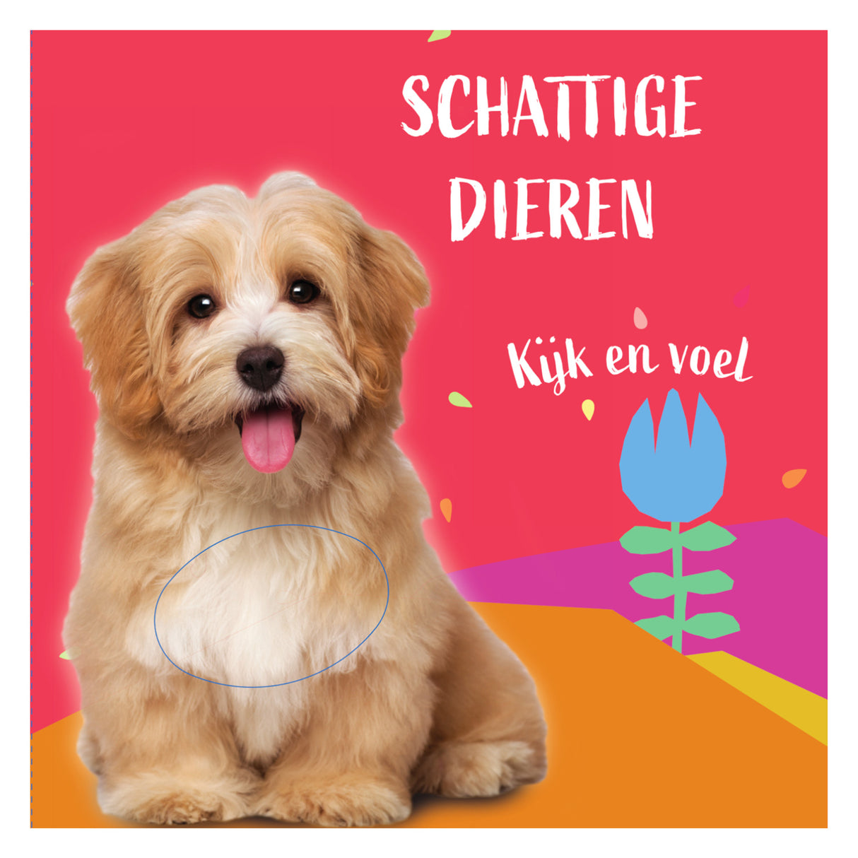 Chien de fewbook