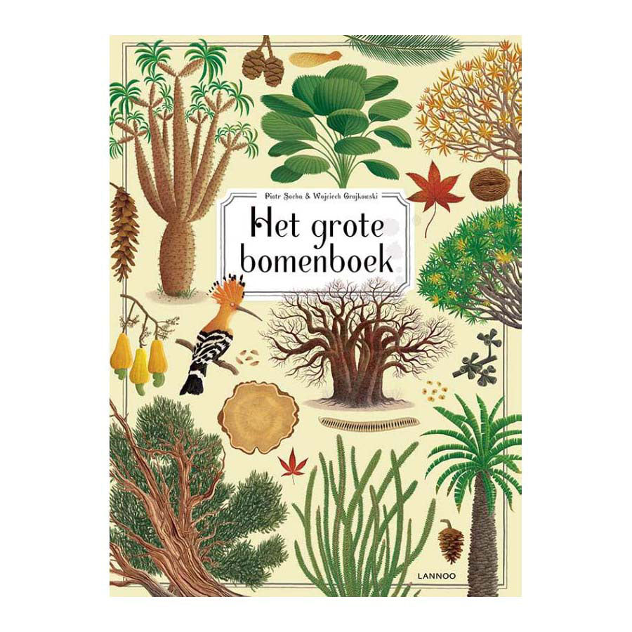 Mëndlech Kaarten de grousse Bambuch