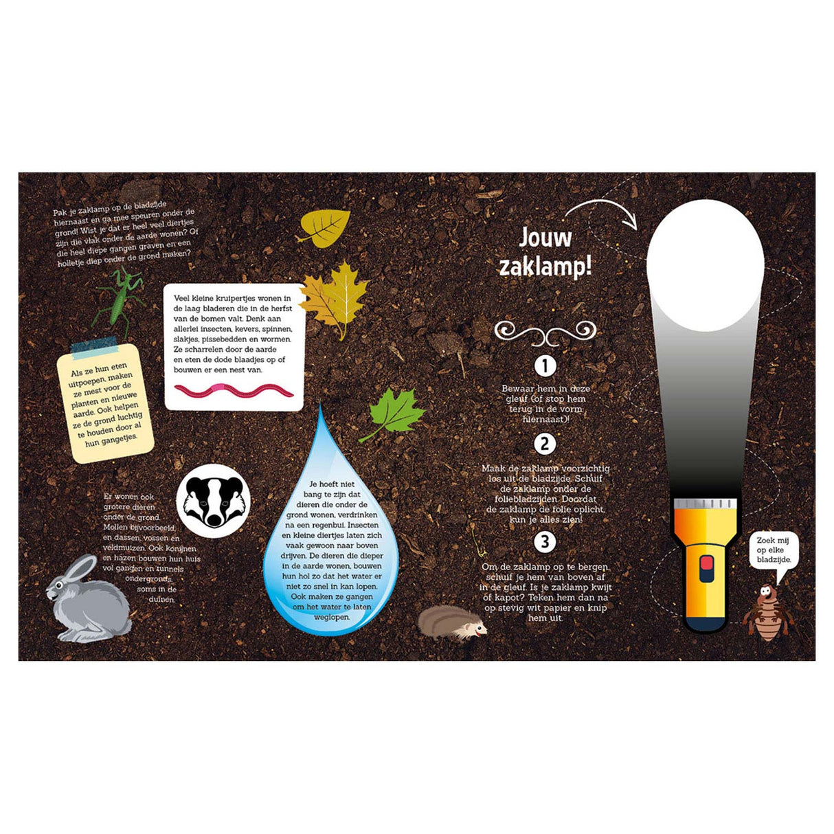 Lantern Publishers search under the ground + cardboard flashlight