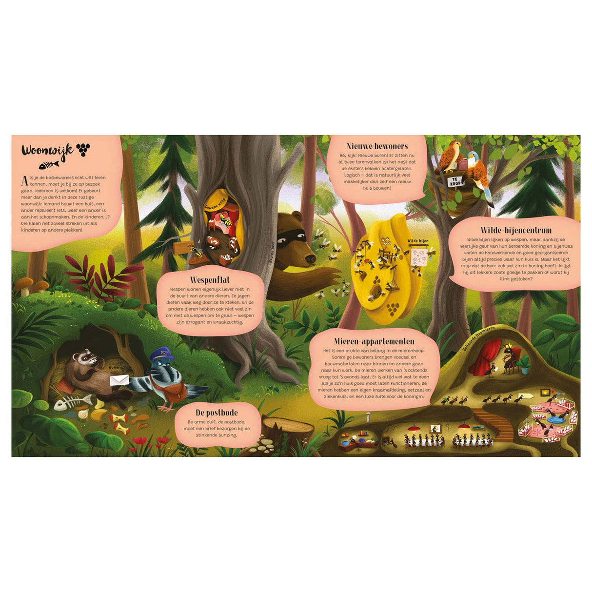 A look into the animal forest