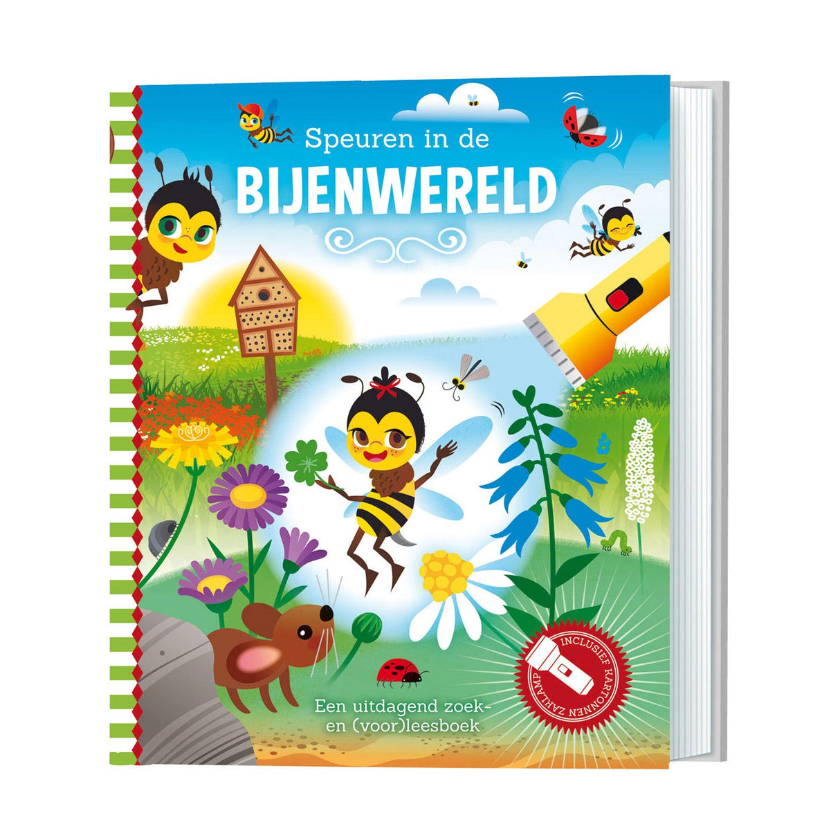 Search in the bee world + cardboard flashlight