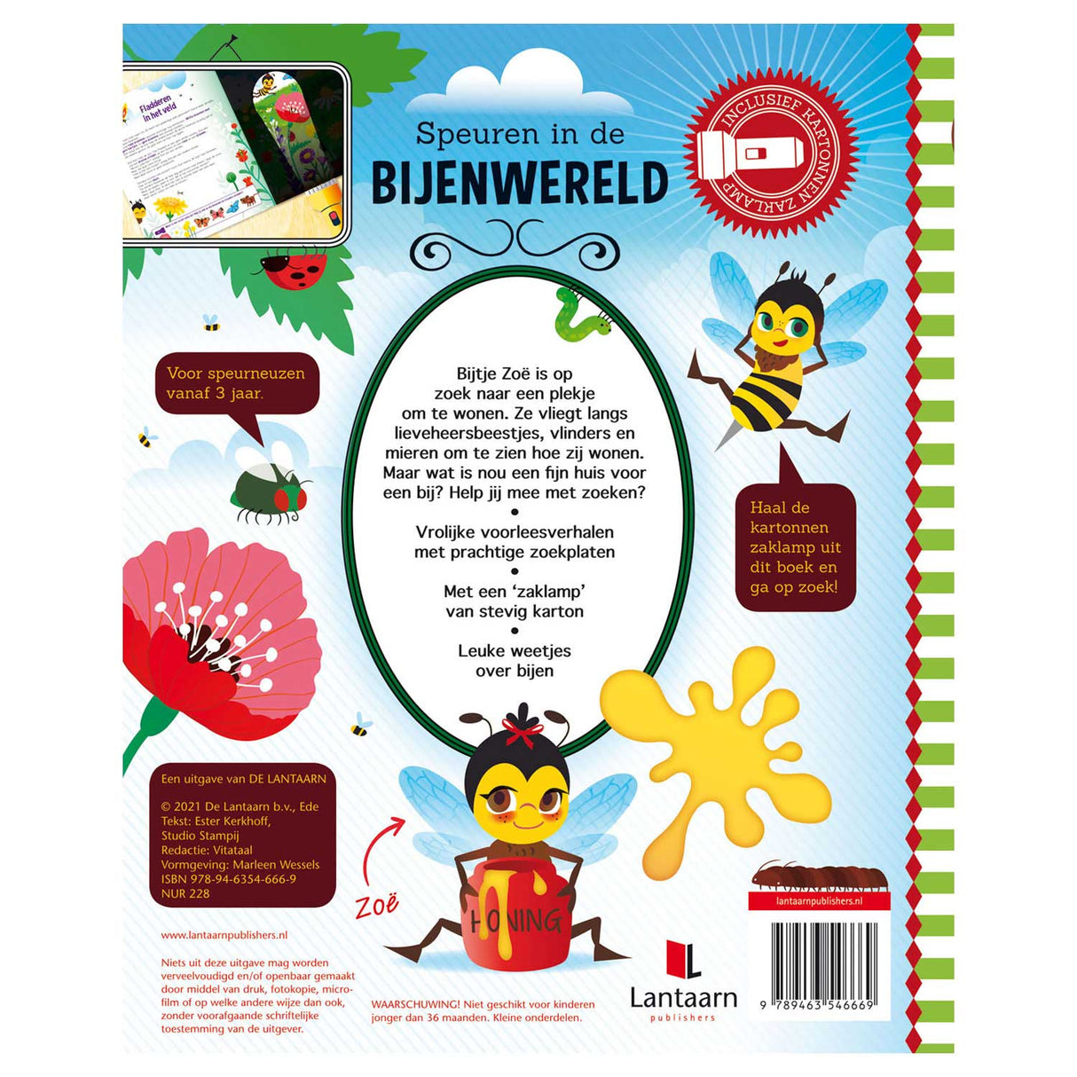 Search in the bee world + cardboard flashlight