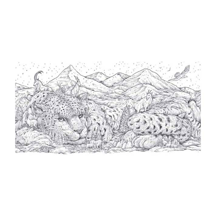 Lantaarn publishers animal world kleurboek