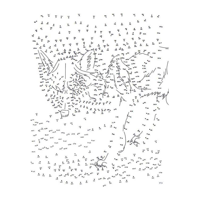 Lantaarn publishers extreme punt naar punt - bosdieren