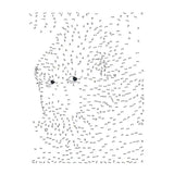 Lantaarn publishers extreme punt naar punt - dieren