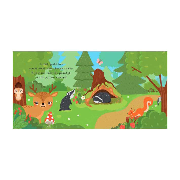 Book: Can you find me in the forest? + memory game