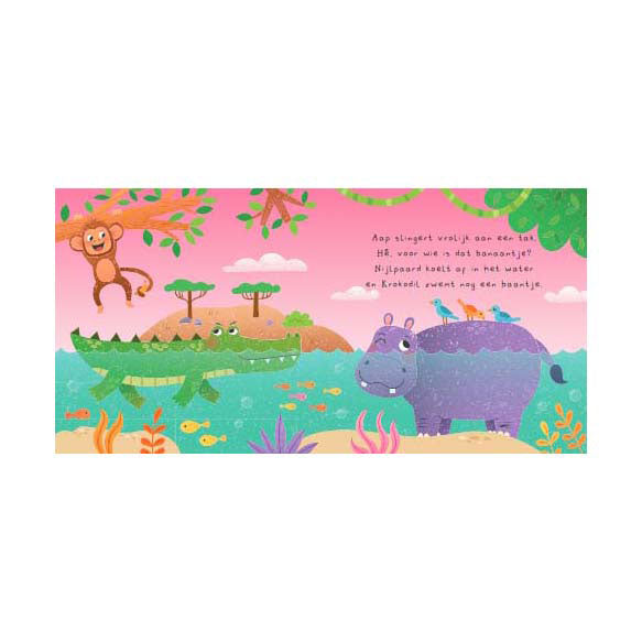 Book Can You Find Me Wild Animals + Memory Game