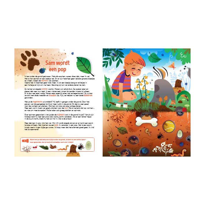 Lantaarn publishers speuren naar insecten zoekboek met kartonnen zaklamp