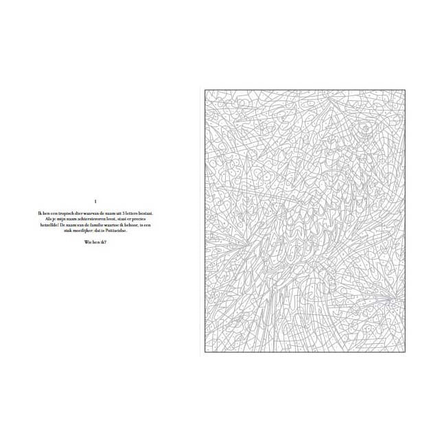 Lantaarn publishers kleurgeheimen - jungledieren