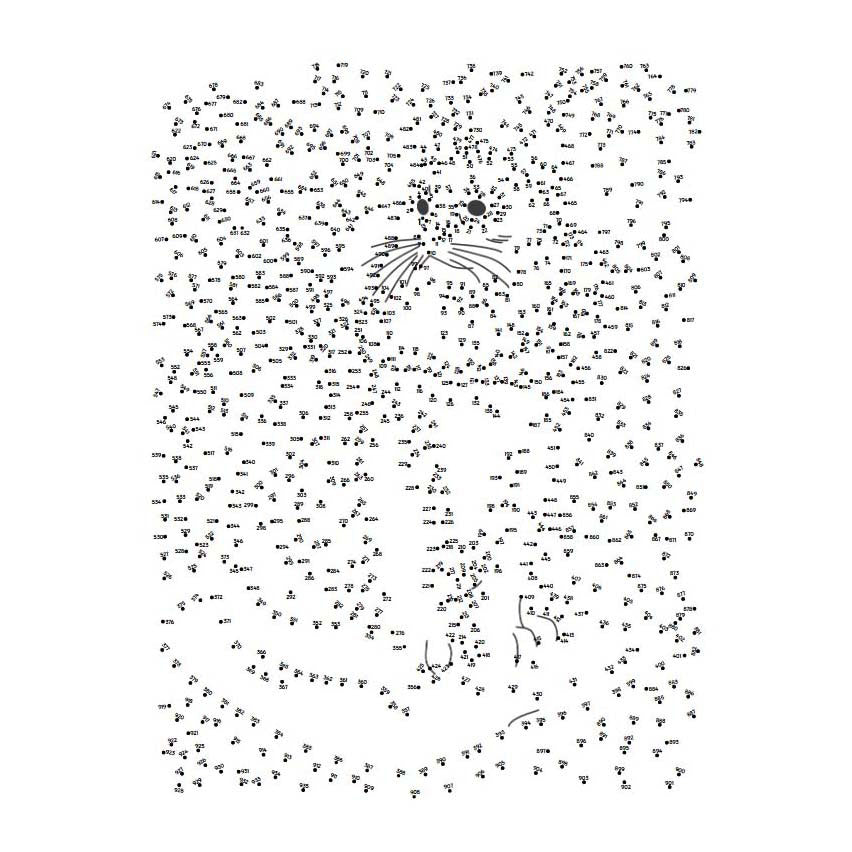 Lantaarn publishers extreme punt naar punt - huisdieren