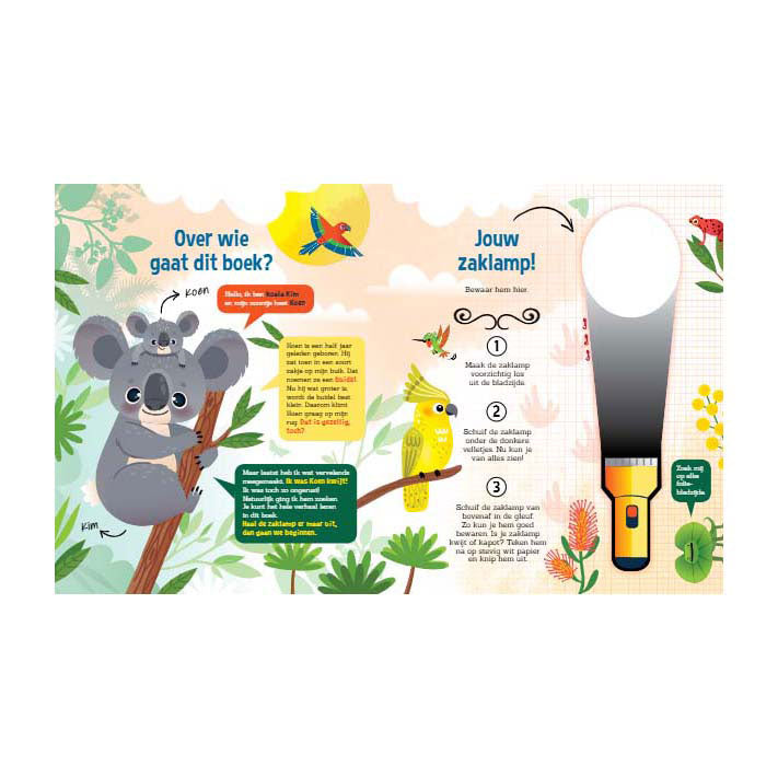 Book: Searching for Koalas