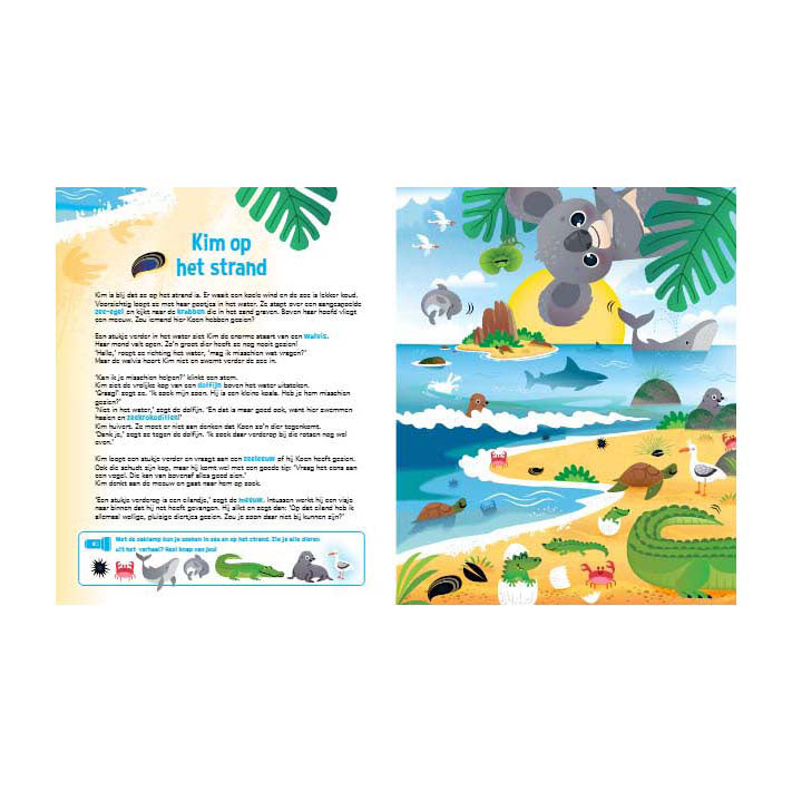 Book: Searching for Koalas