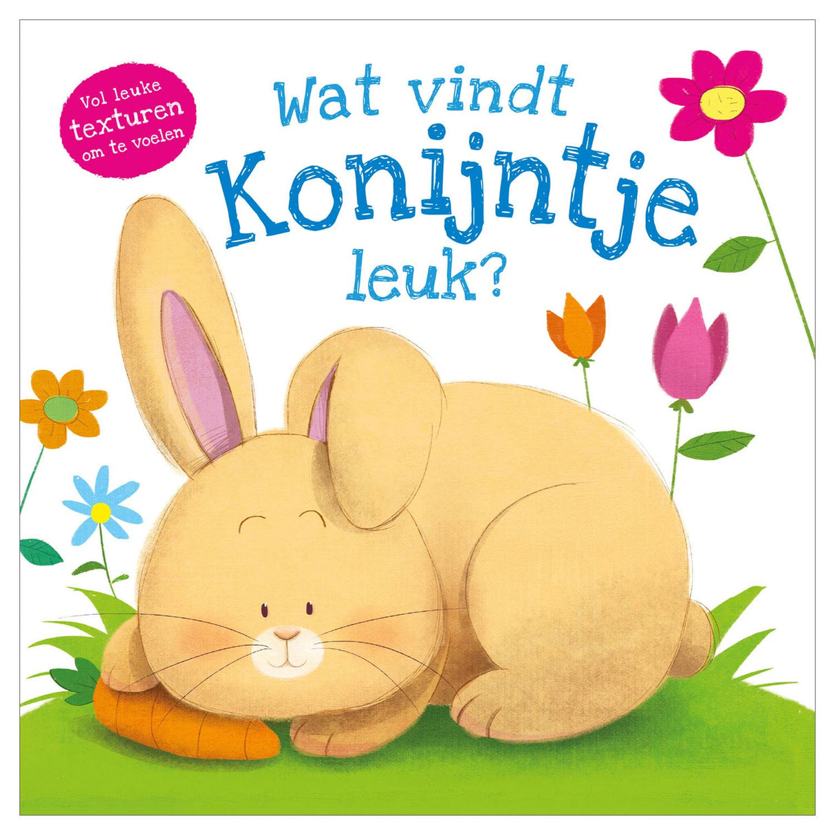 Rebo Publishers Feelboek - what does Konijntje like?