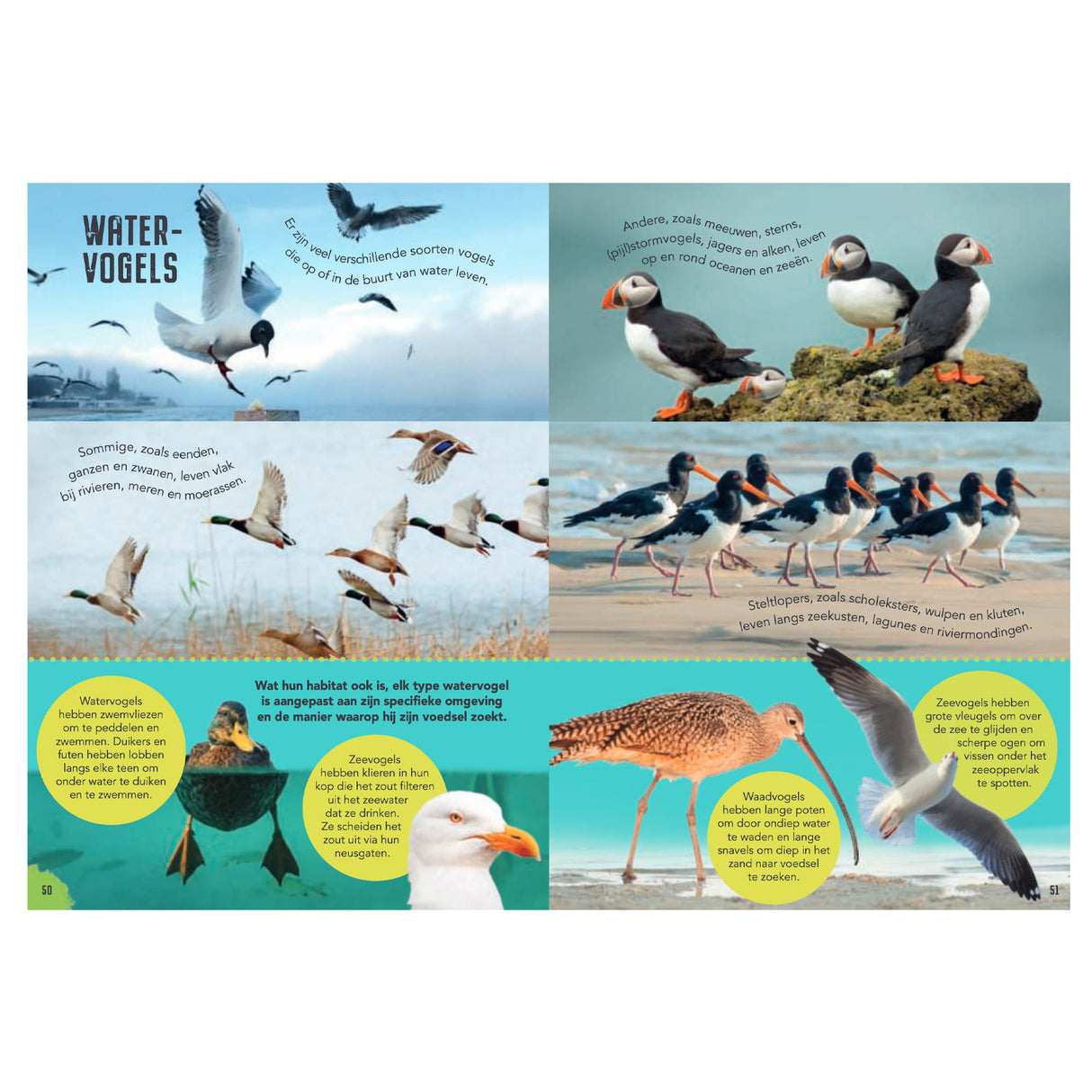Rebo Publishers Vogels - Guide and Nature diary for children
