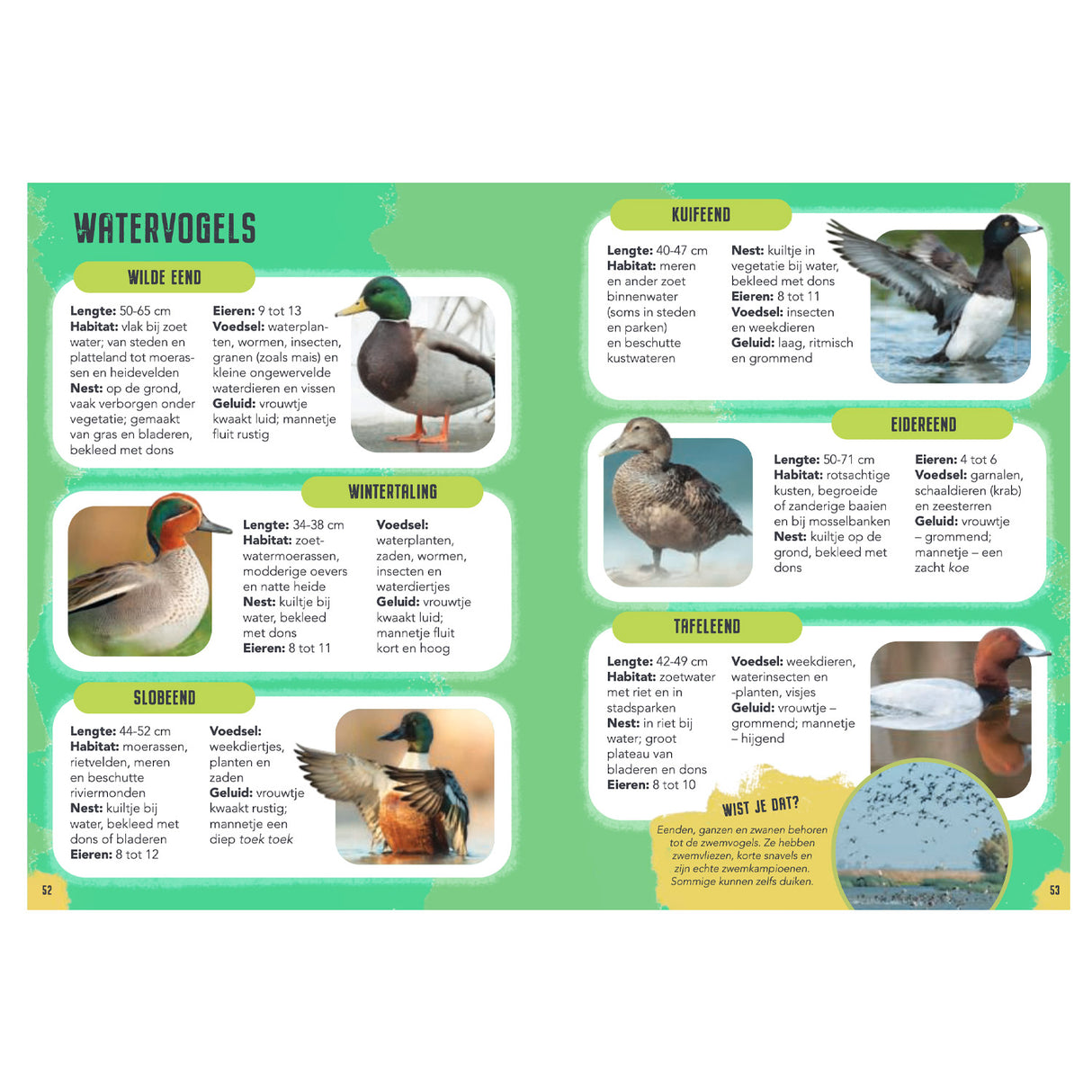 Rebo Publishers Vogels - Guide and Nature diary for children
