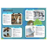 Rebo Publishers Vogels - Guide and Nature diary for children