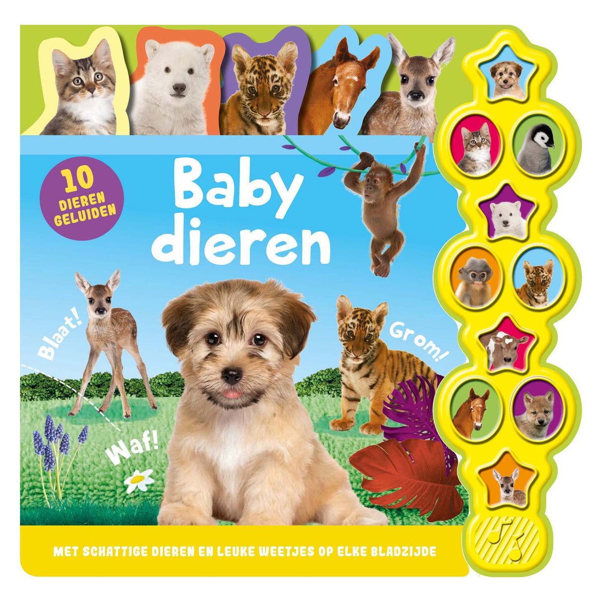 Rebo editori sound book baby animali