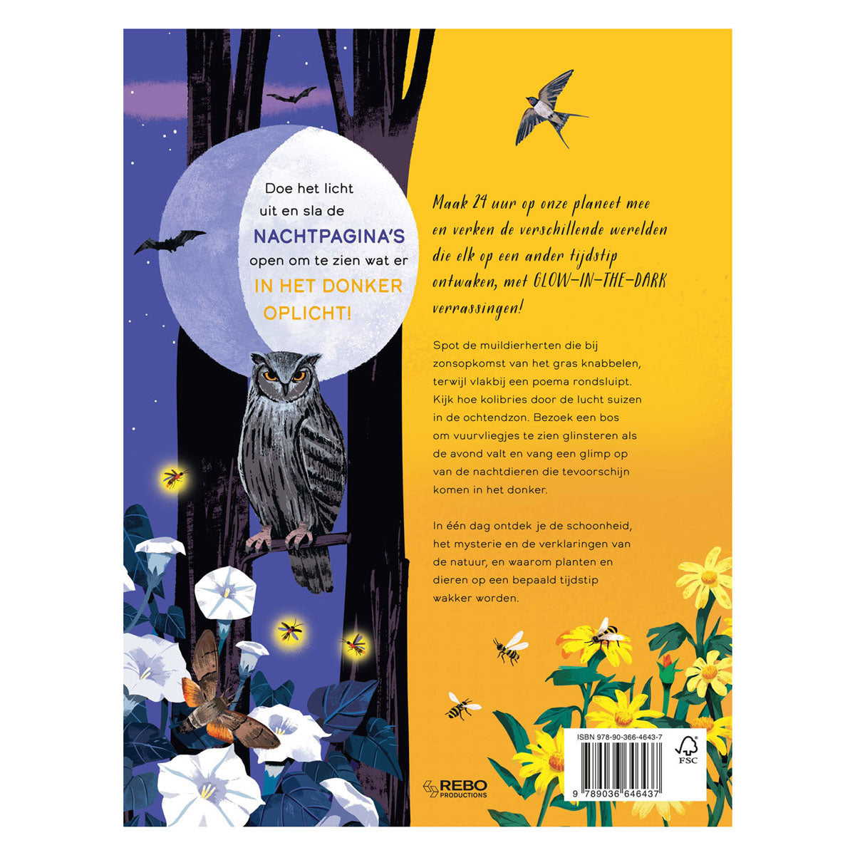 Rebo publishers day and night