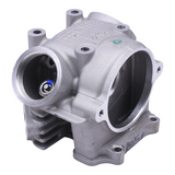 OEM -Zylinderkopf -Qualität | Sympeugeot 4t