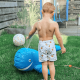 Dreemcape | Blo Whale Waasser Sprayer