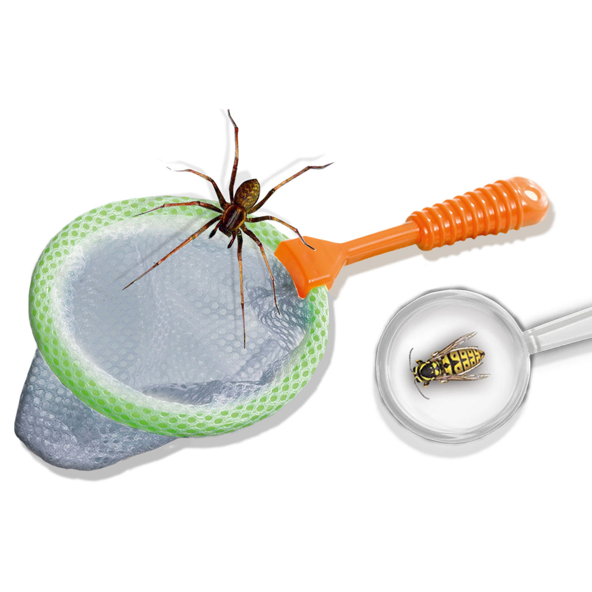 SES Explore - Insecte Explorer