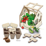 SES Greenhouse com vegetais