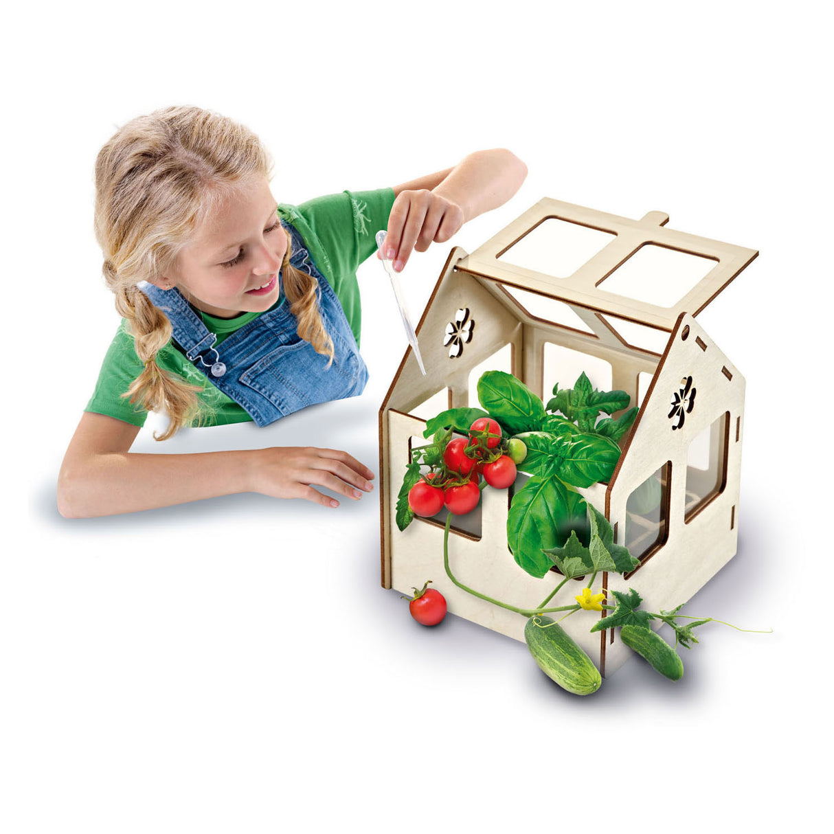 SES Greenhouse com vegetais