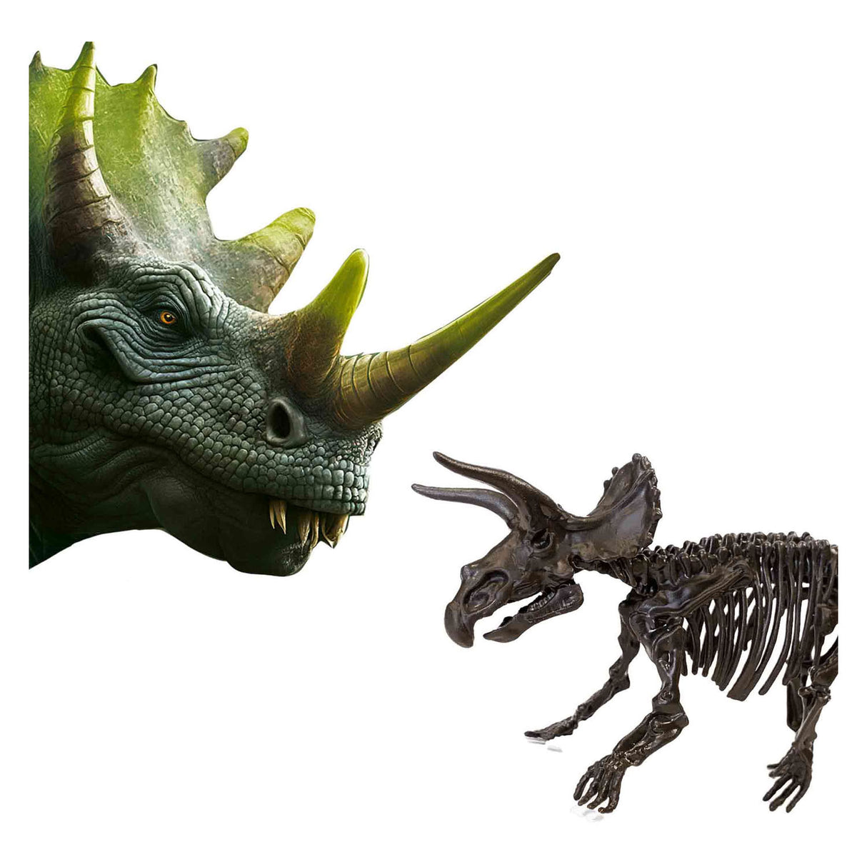 SES Raziščite Dino in Skeleton Izkopani 2in1 - triceratops