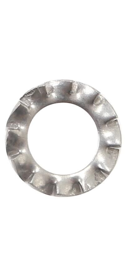 Bofix tooth spring ring M6 stainless steel (P100)