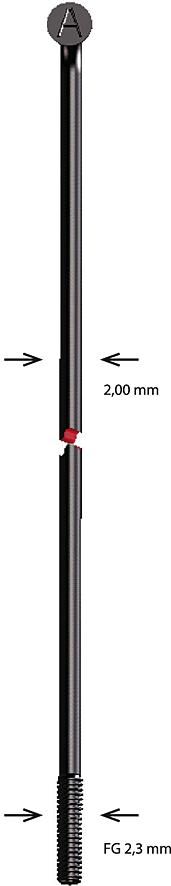 Alpina spaak spoke sst 2x180 mm b