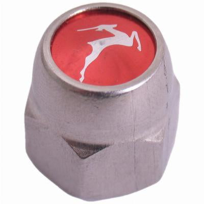 Asse posteriore Gazelle da dado ornamentale remnaaf 3 8 x 24g - acciaio inossidabile 21 mm
