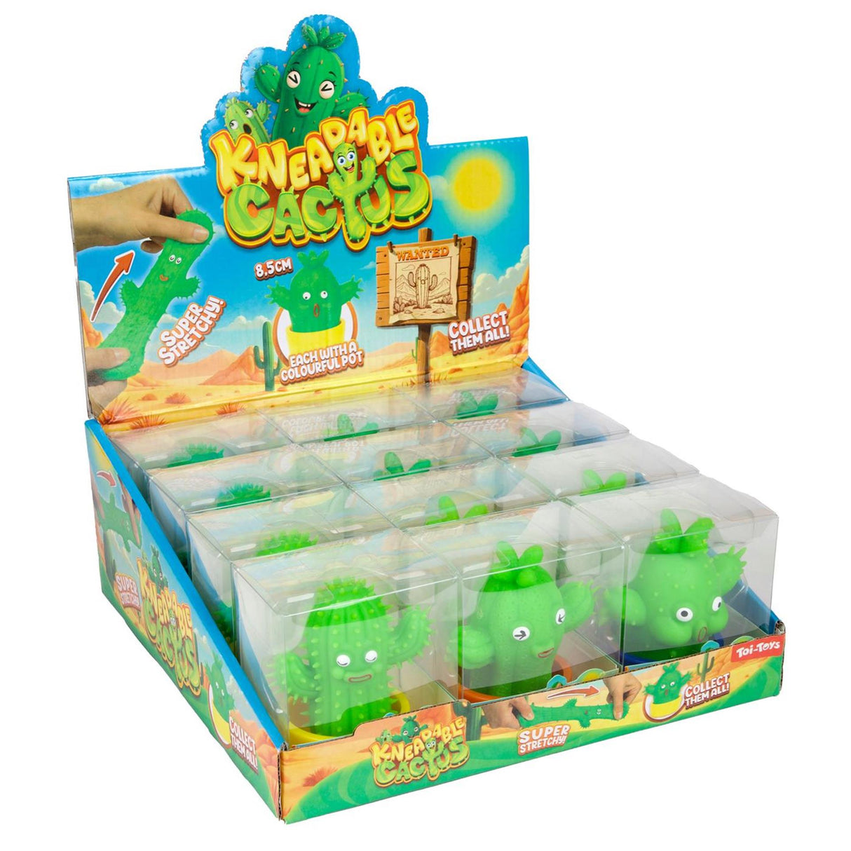 Toi-toys stretchy kneedcactus met potje